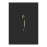 Simple Golden Botanical (Print Only) thumbnail