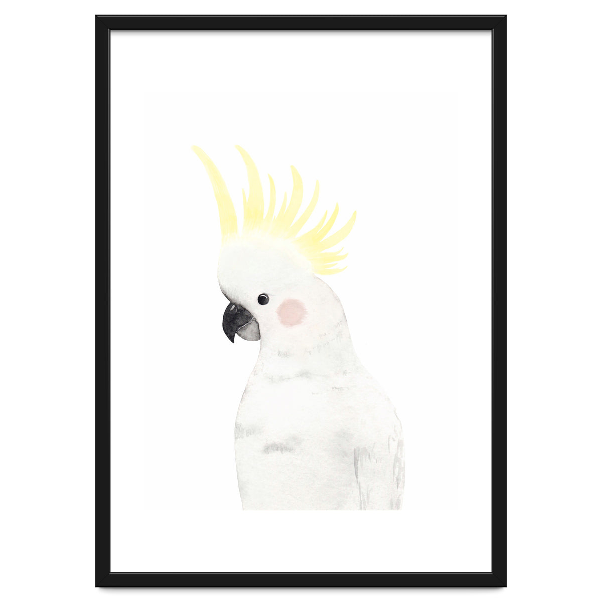 Sweet Cockatoo