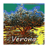 Colorful Olive tree in Verona, Italy. (Print Only) thumbnail