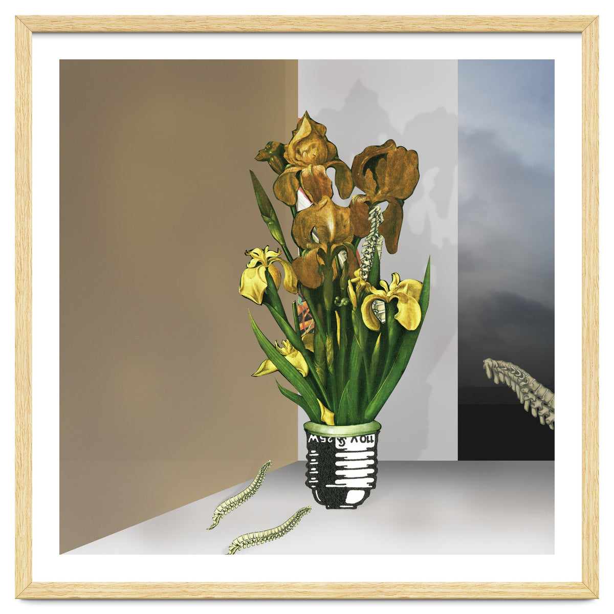 Das Licht Der Pflanze