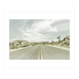 Joshua Trees, Park Boulevard | Vintage (Print Only) thumbnail