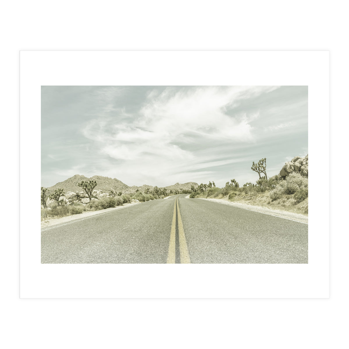 Joshua Trees, Park Boulevard | Vintage (Print Only)