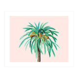 Coconut Island (Print Only) thumbnail