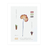 Botanical Notes (Print Only) thumbnail