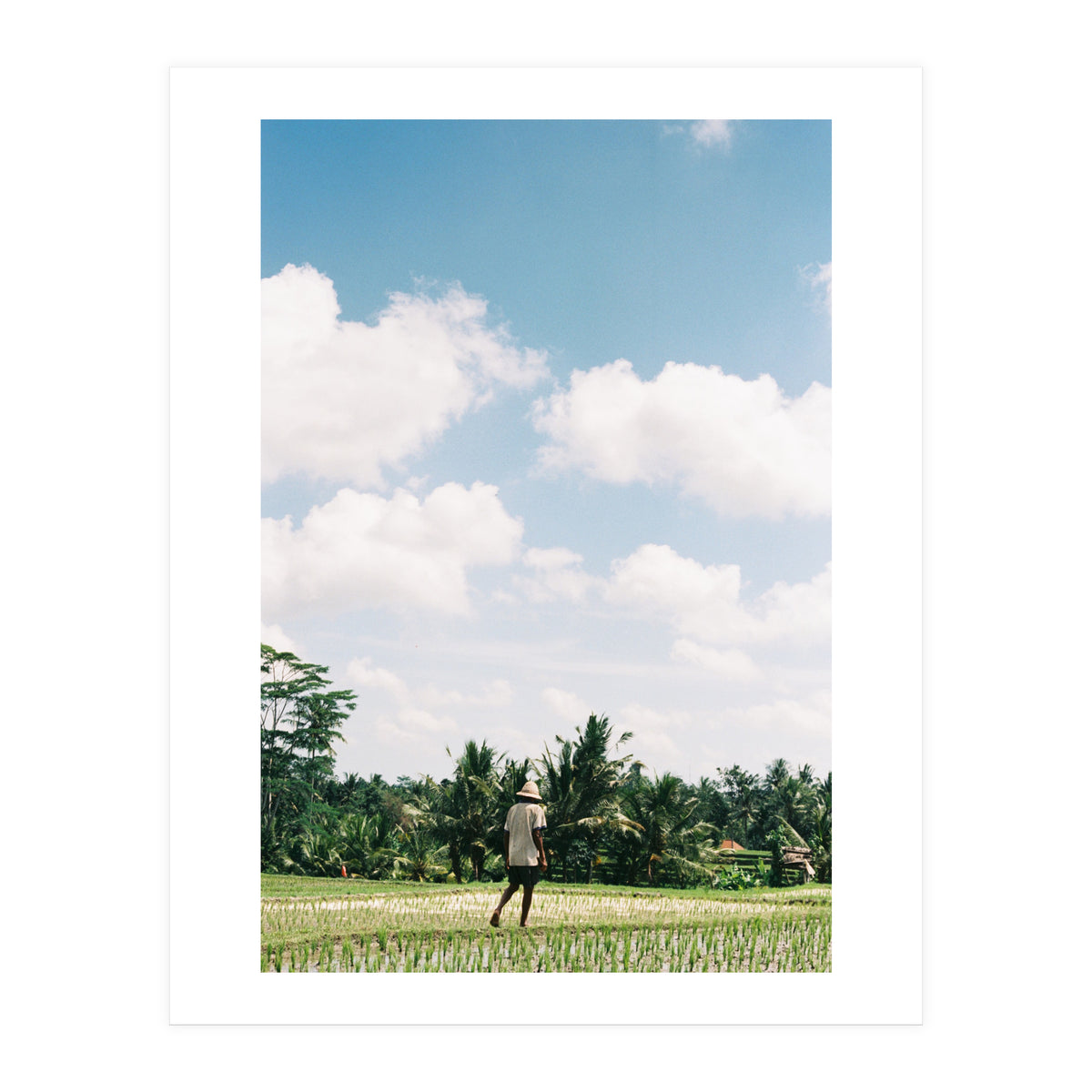 UBUD (Print Only)