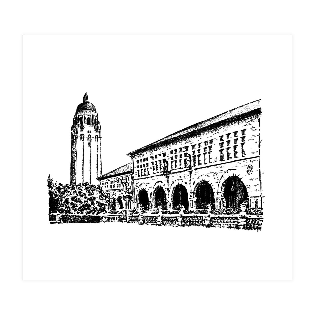 Stanford University (Print Only)