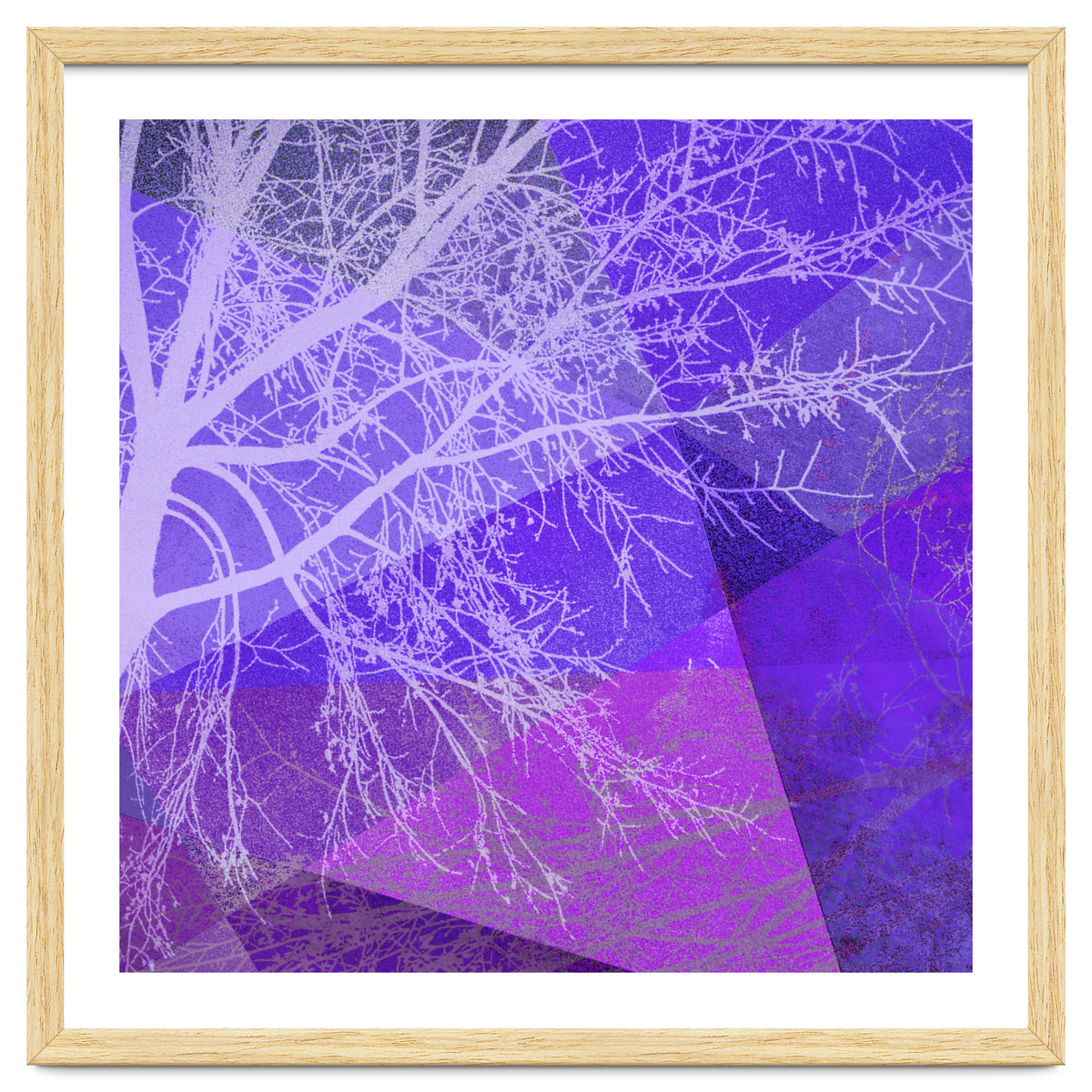 P19-D2 Trees and Triangles