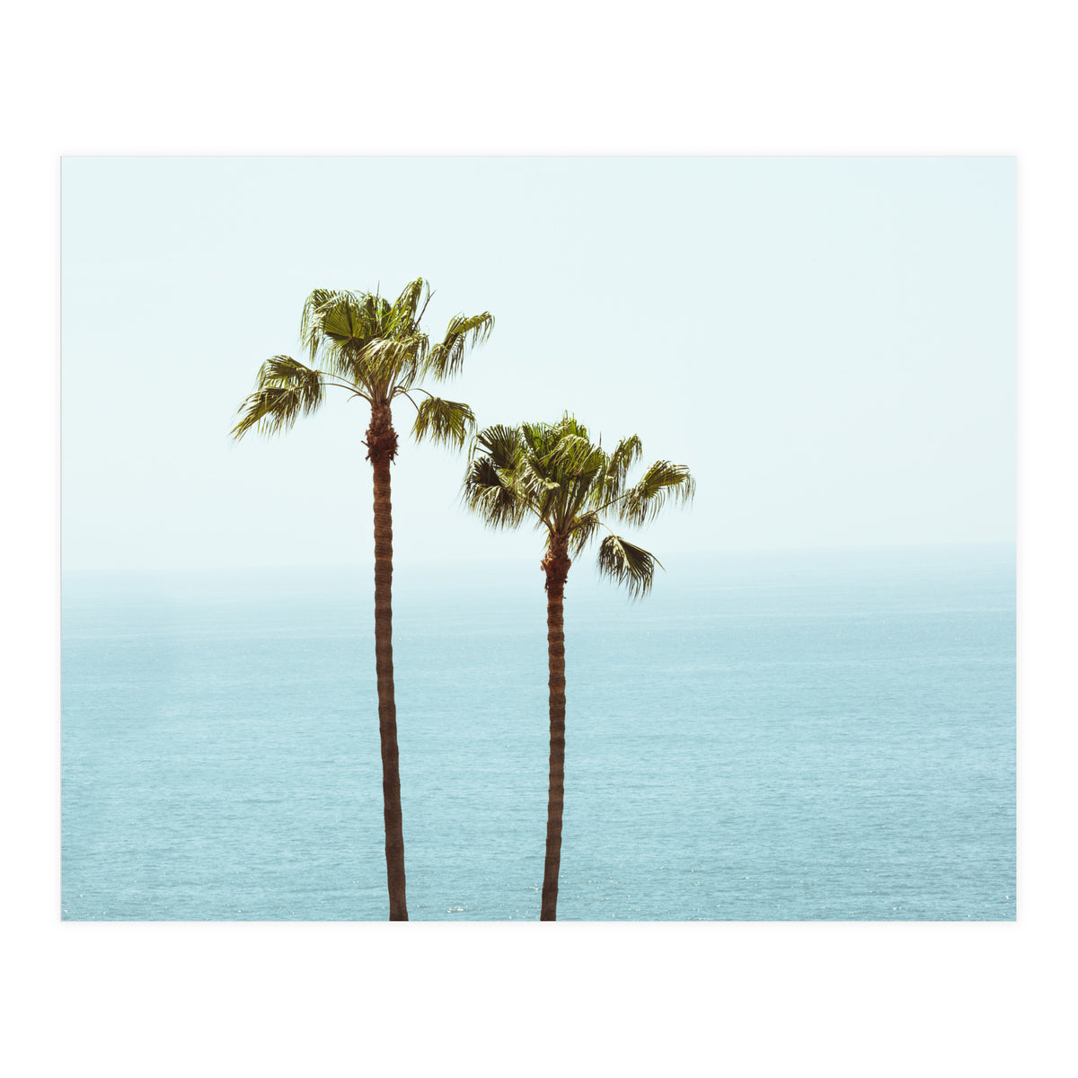 Island Dreaming (Print Only)