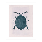 Beetle 2 (Print Only) thumbnail