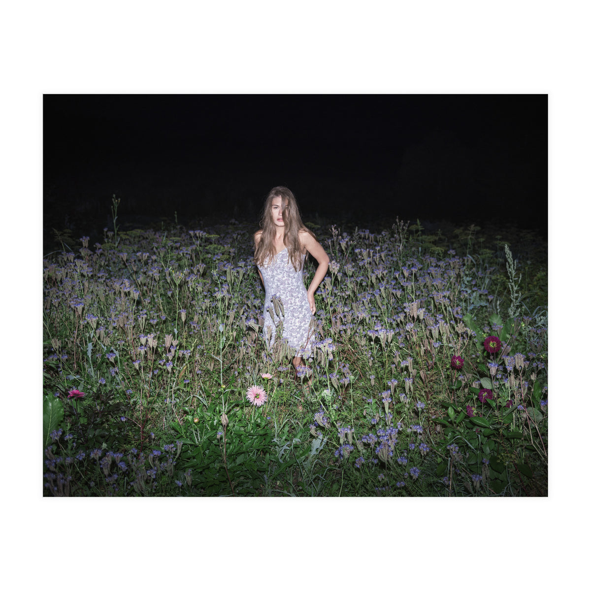 Insomnia (Print Only)