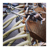 Stacks of bicycles (Print Only) thumbnail