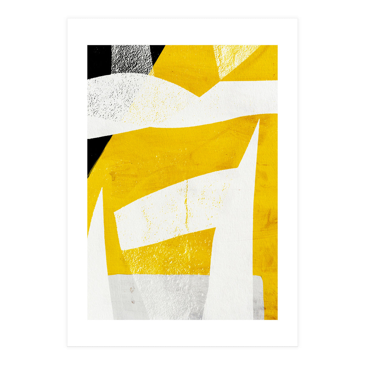 Coiote 3 (Print Only)