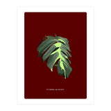 Predator (Print Only) thumbnail