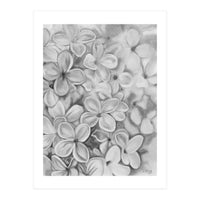 The Essence Of Spring in Monochrome (Print Only)