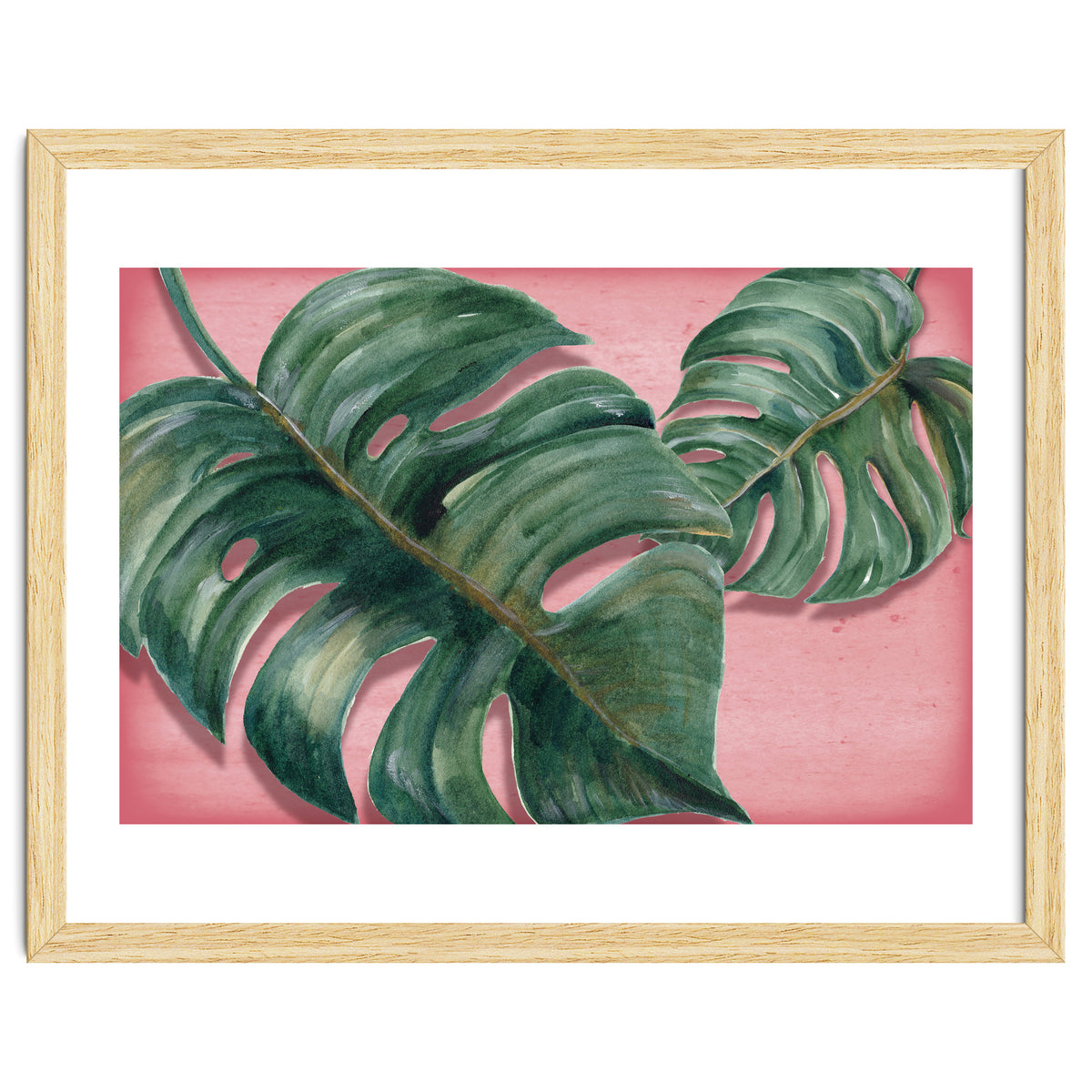 Monstera Leaf