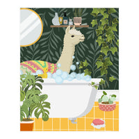 Llama Bathing  (Print Only)