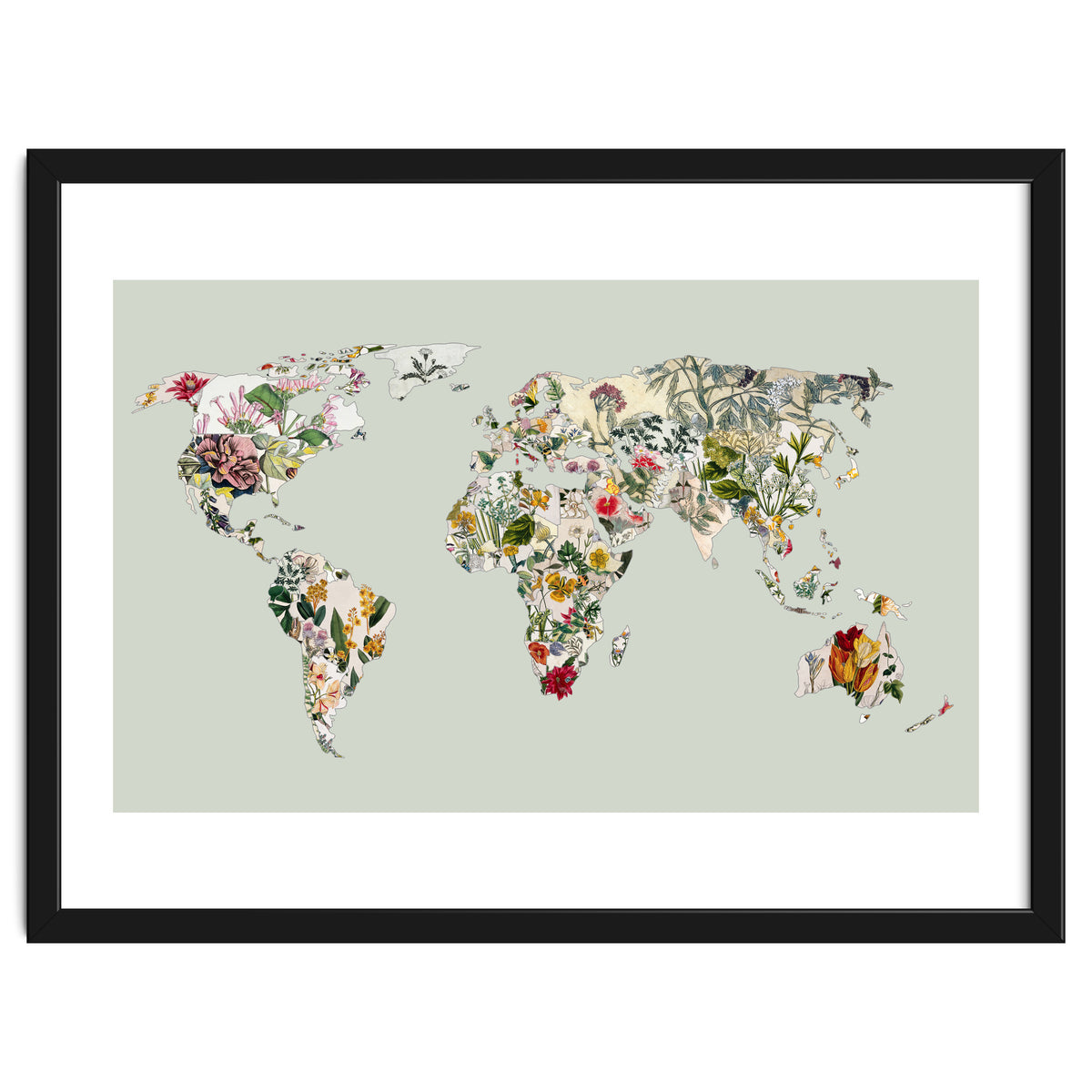 Vintage Botanical Map - Green