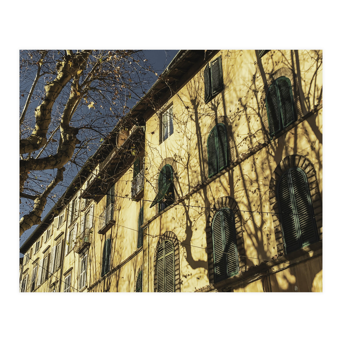 Windows From Tuscany 3 (Print Only)