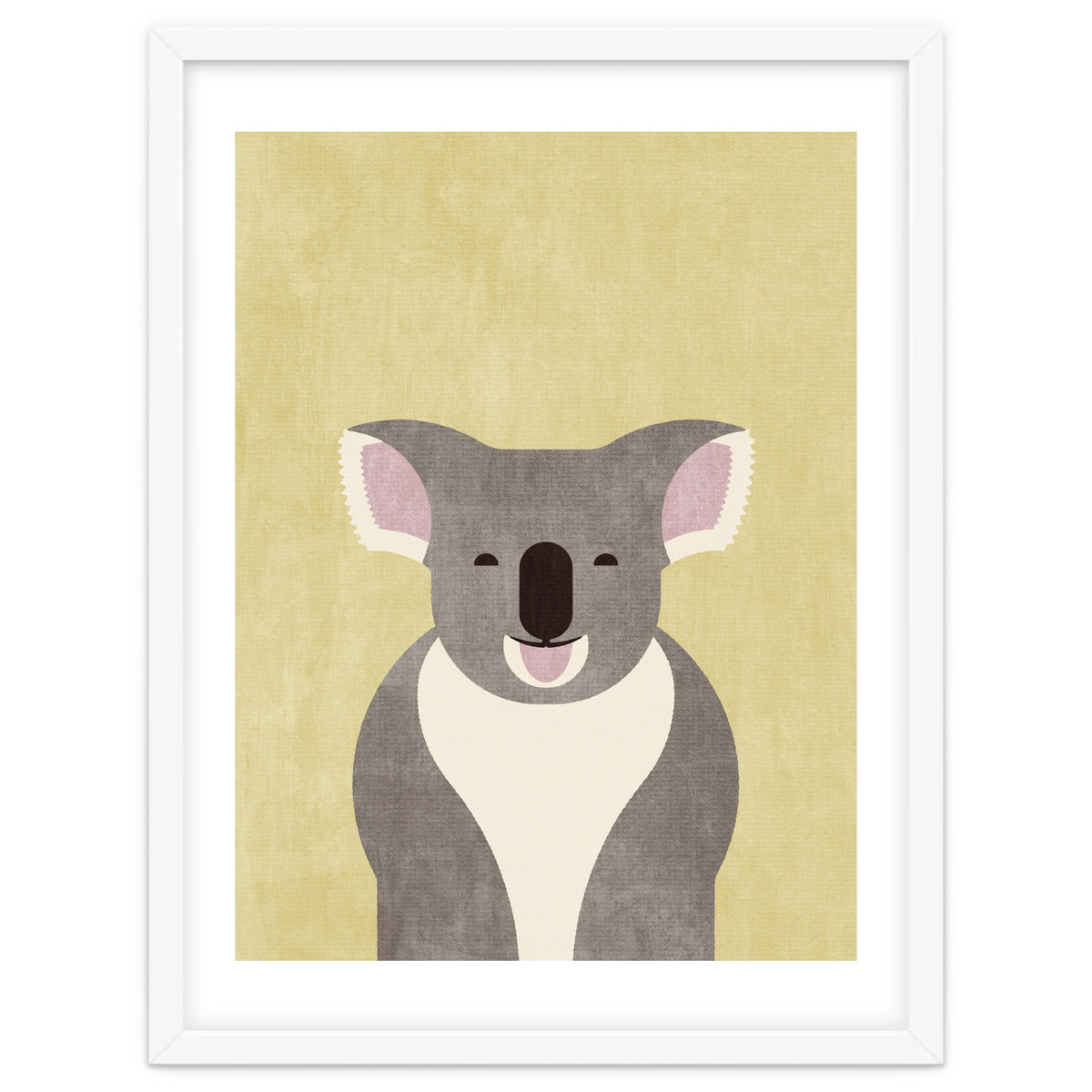 FAUNA / Koala