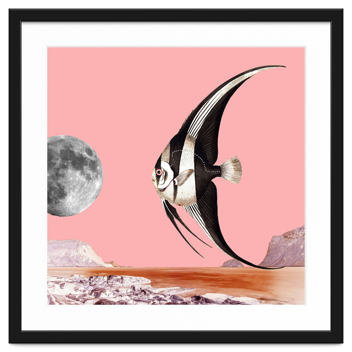 Plenty Of Fish In The Sea Pink