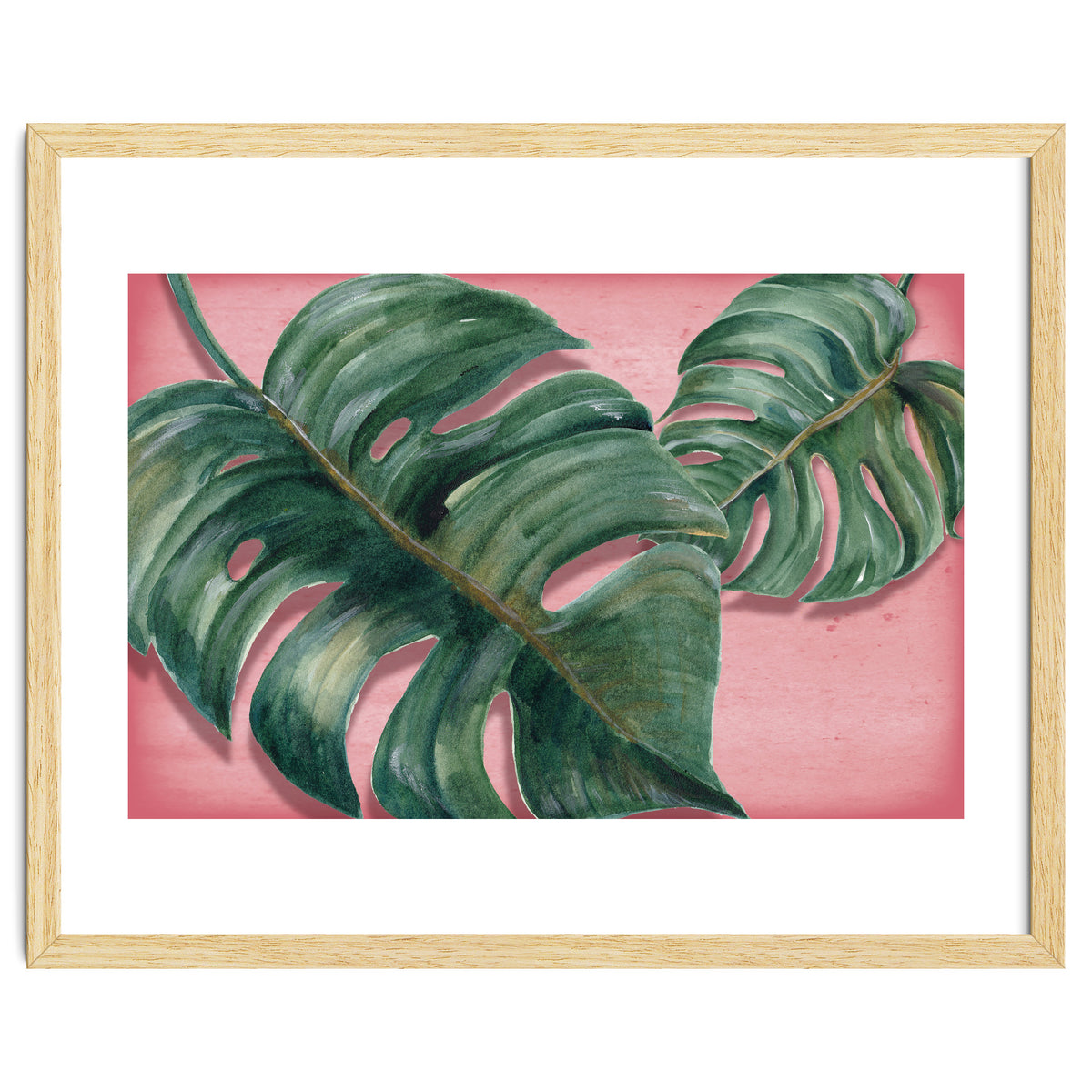 Monstera Leaf