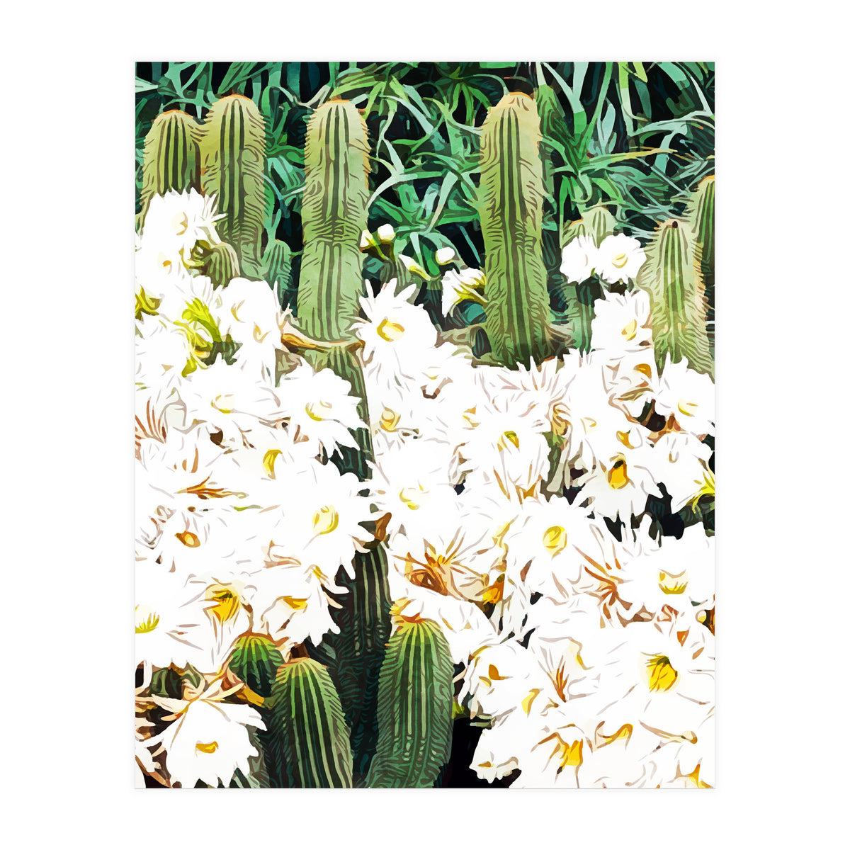 Cactus & Bloom (Print Only)