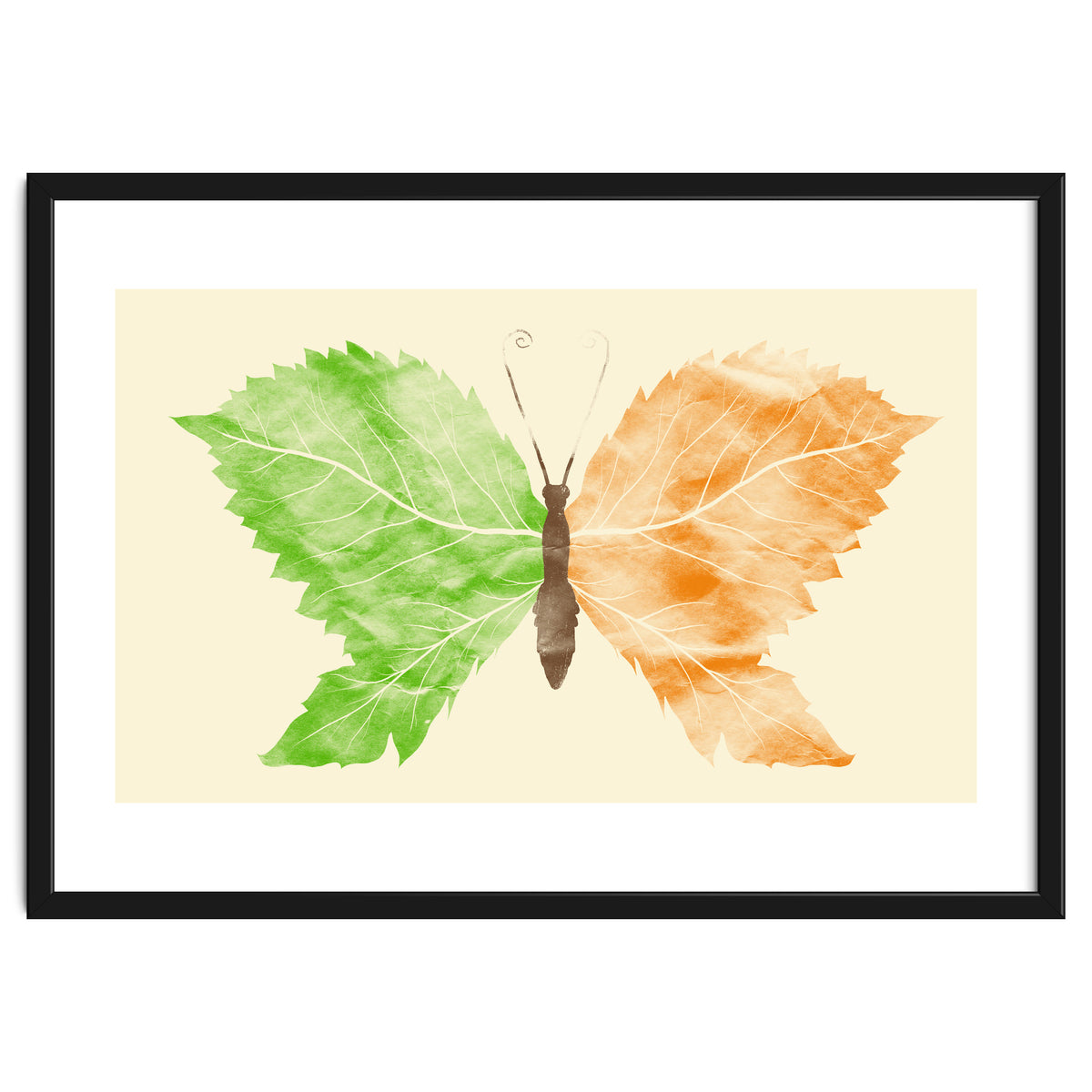 Seasons Change Time Flies