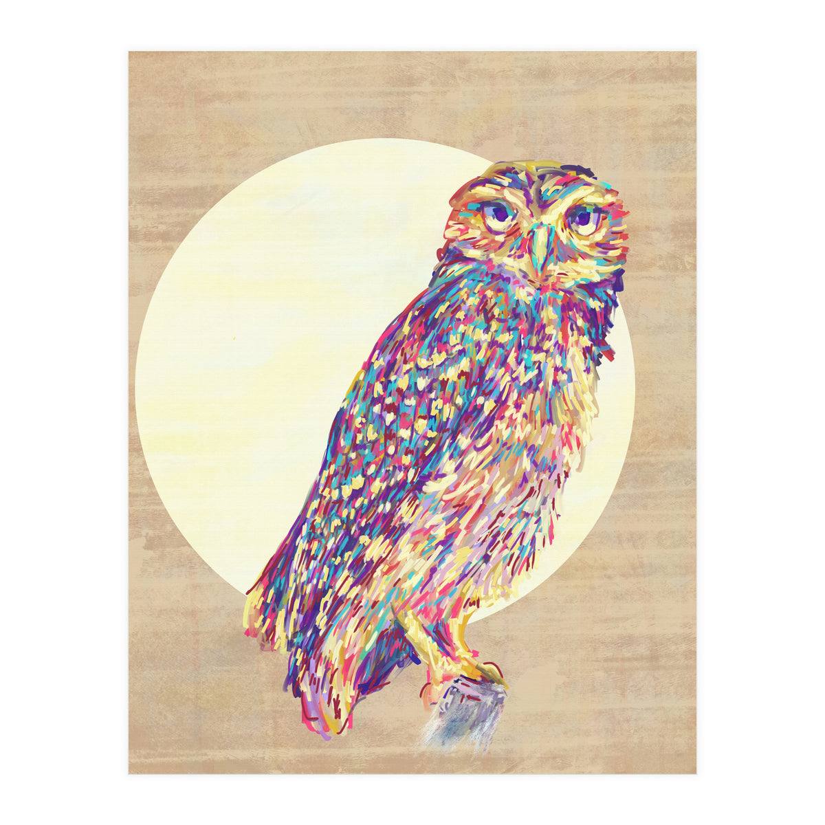 Owl (Print Only)