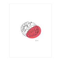 Raspberry (Print Only)
