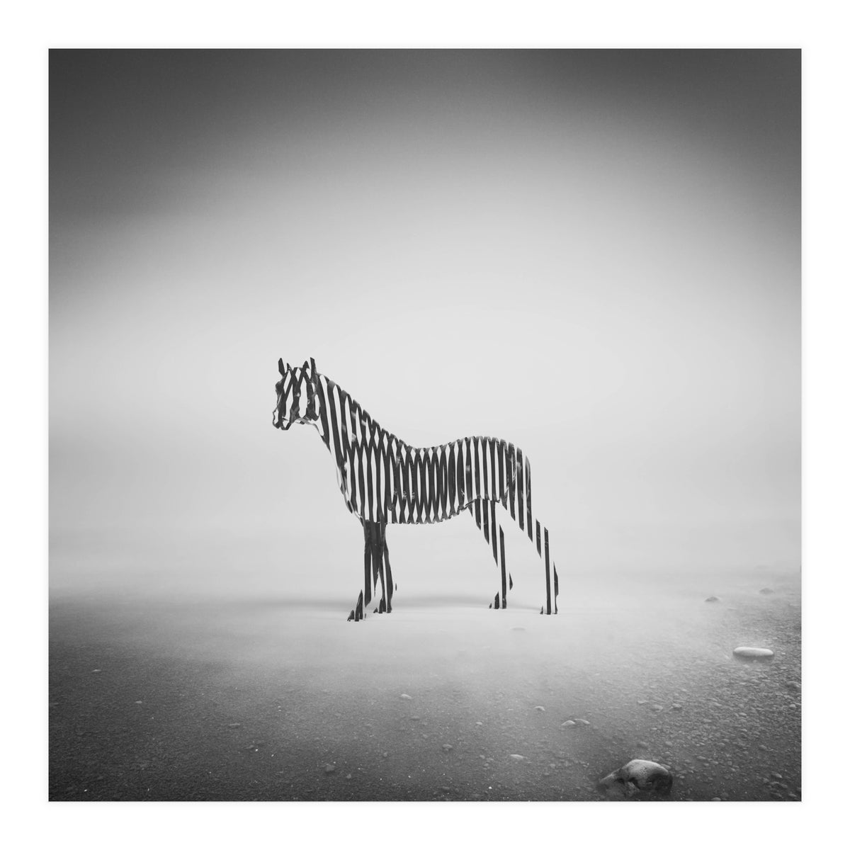 Zebra Mist (Print Only)