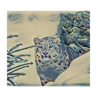 Snow Leopard (Print Only)
