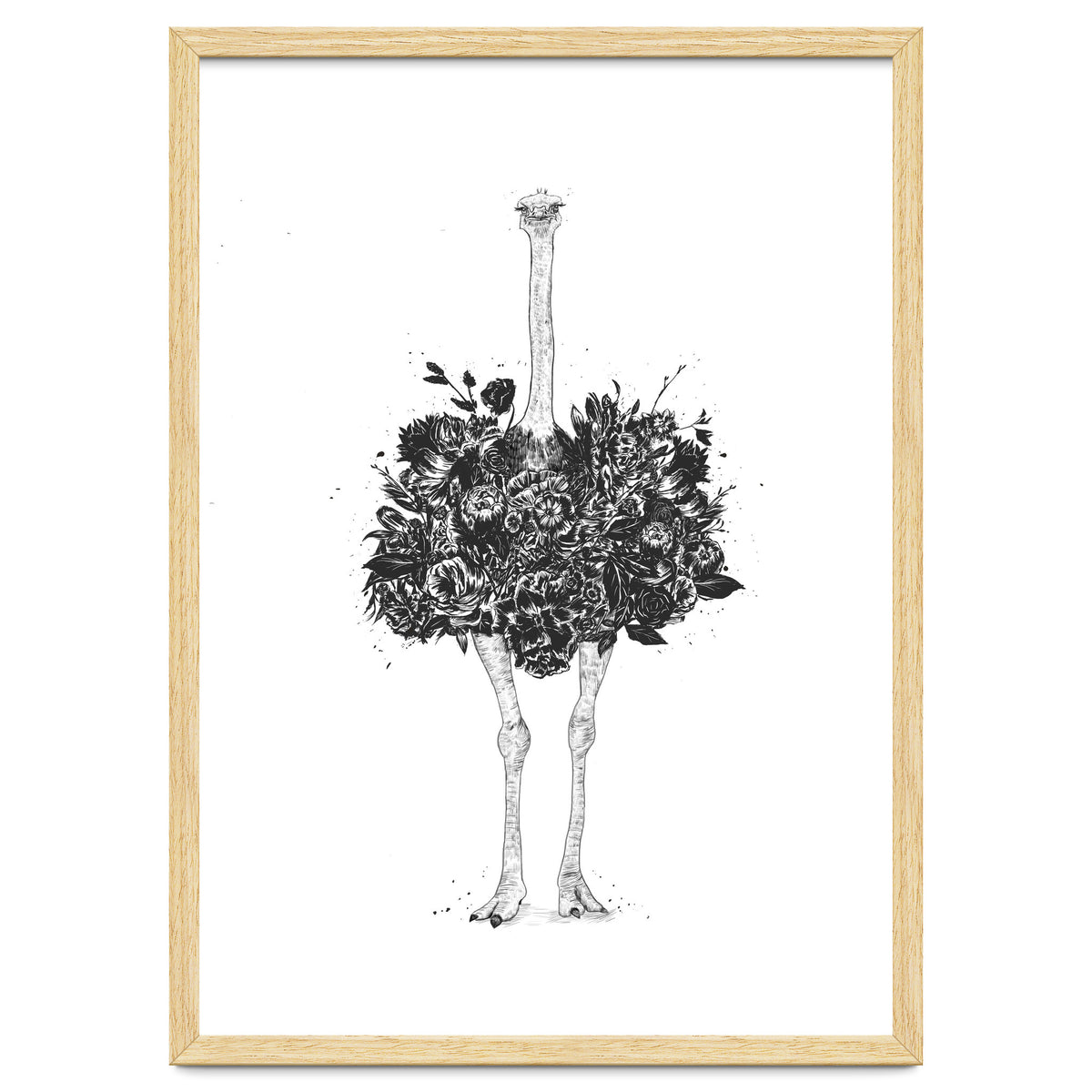 Floral Ostrich