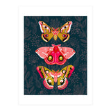 Lepidoptery Study No. 4 (Print Only) thumbnail
