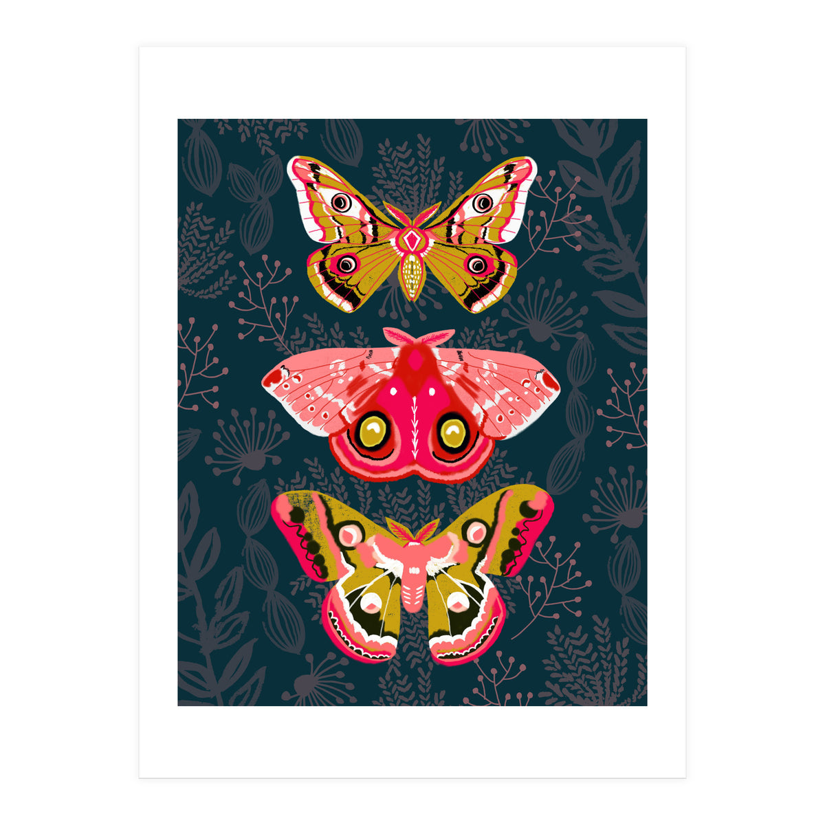 Lepidoptery Study No. 4 (Print Only)