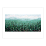 Oregon Pines (Print Only) thumbnail