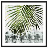 Palm Leaves On White Marble And Tiles
