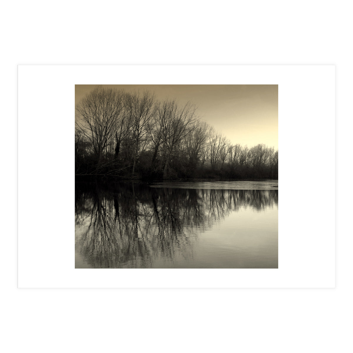 Winter Symettery  (Print Only)