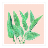 Modern Hand Painted Tropical Green Watercolor Leaf Bird Of Paradise On Pastel Pink (Print Only) thumbnail