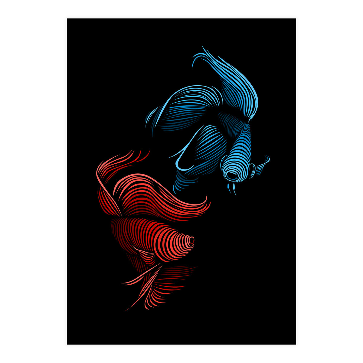 bettas fight (Print Only)