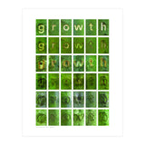 growth (Print Only) thumbnail
