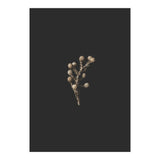 Gold Drops Botanicals (Print Only) thumbnail