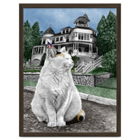 Mackinac Island Cat