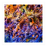 Avalon  (Print Only) thumbnail