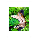 Blush Tiger (Print Only) thumbnail