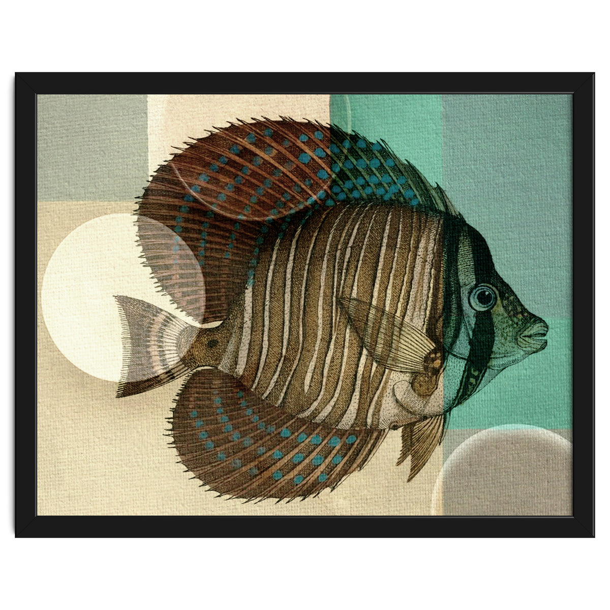 Fish Between Circles 4