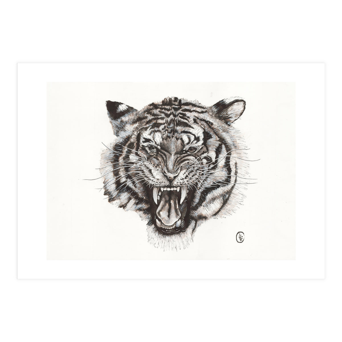 Tiger (Print Only)