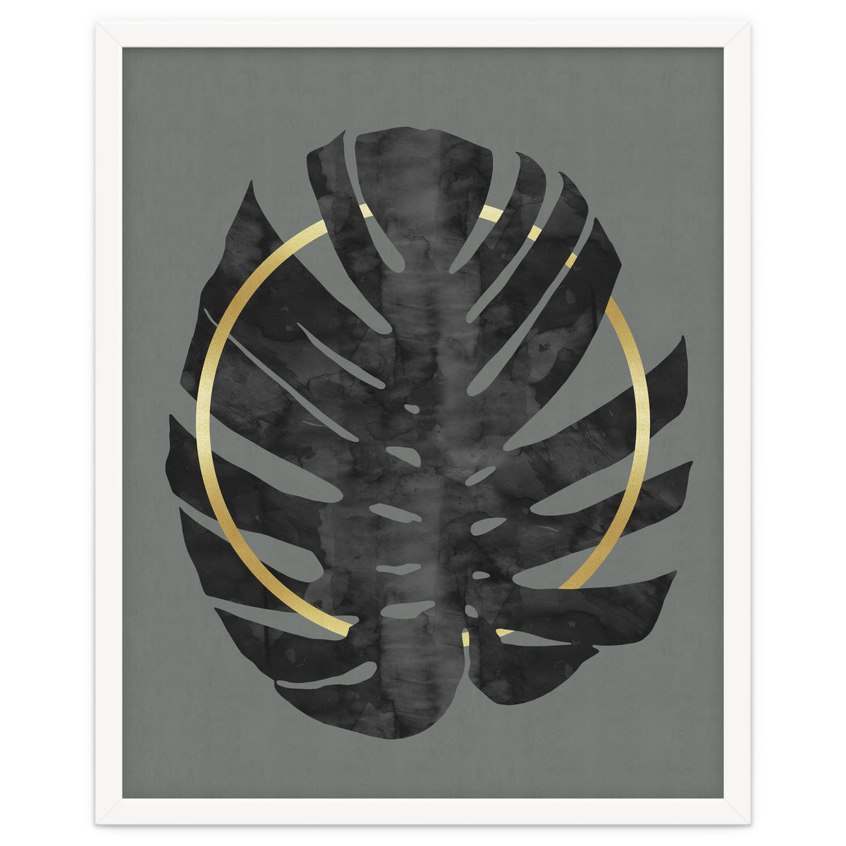 Monstera Deliciosa I