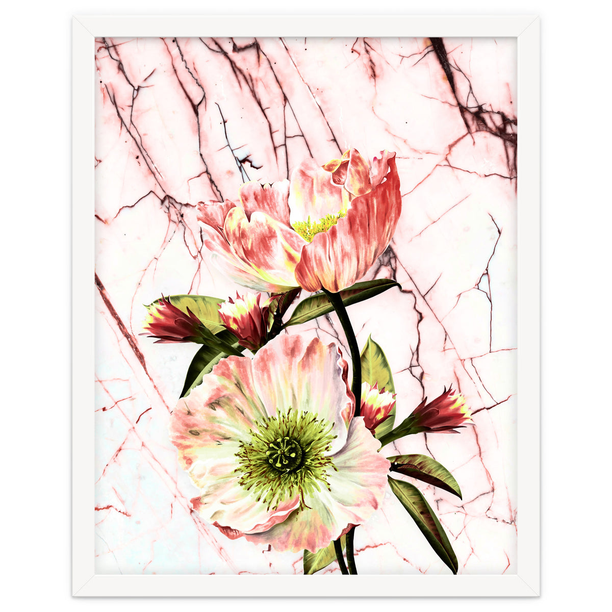 Flowering on pink marble