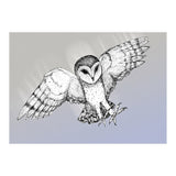 Attacking barn owl (Print Only) thumbnail