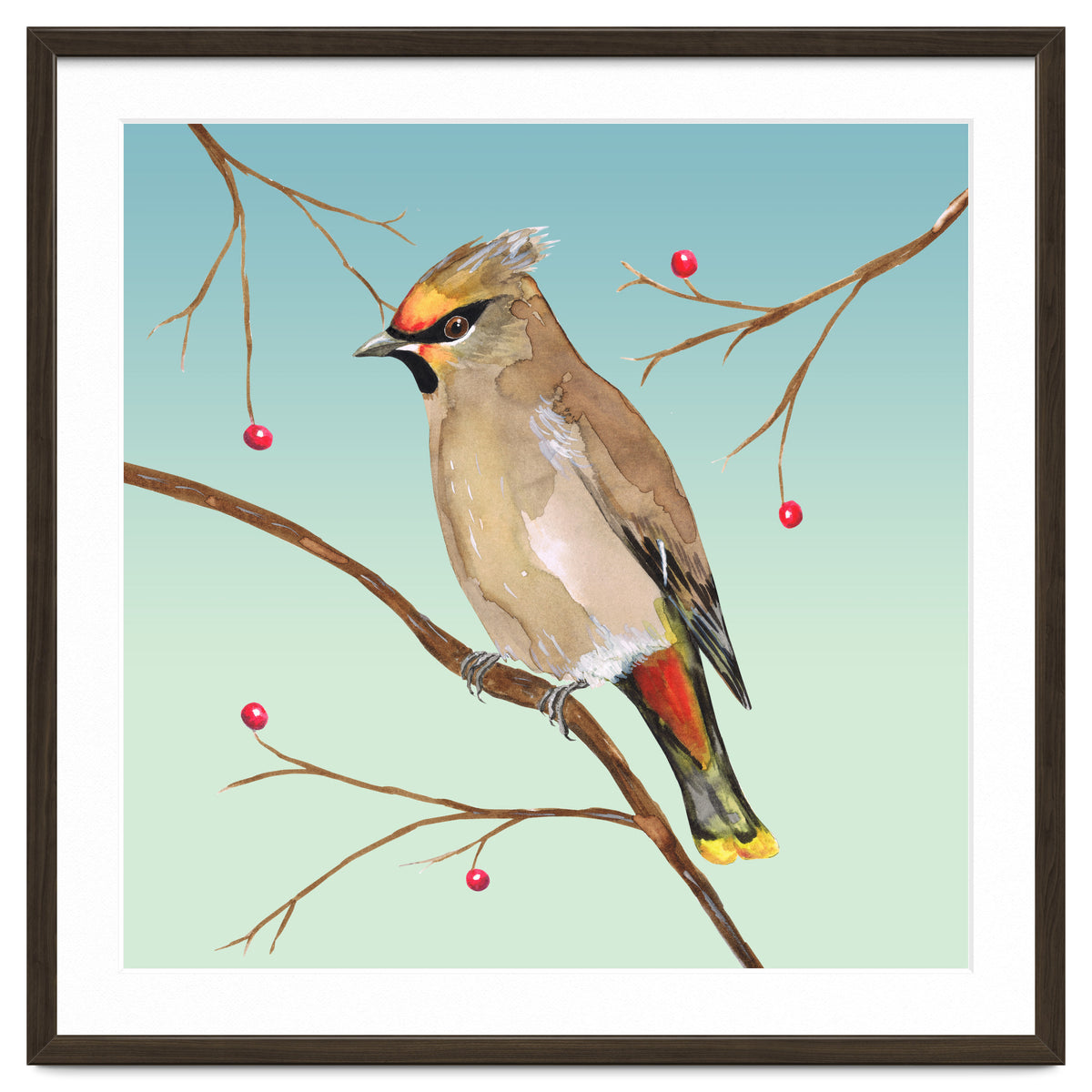 Bohemian waxwing